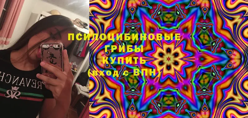 магазин продажи   нарко площадка клад  Галлюциногенные грибы Psilocybe  Красноперекопск  OMG онион 