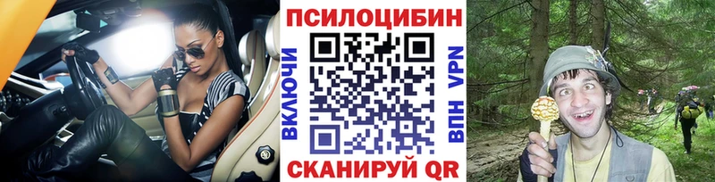 Галлюциногенные грибы Psilocybine cubensis  Красноперекопск 