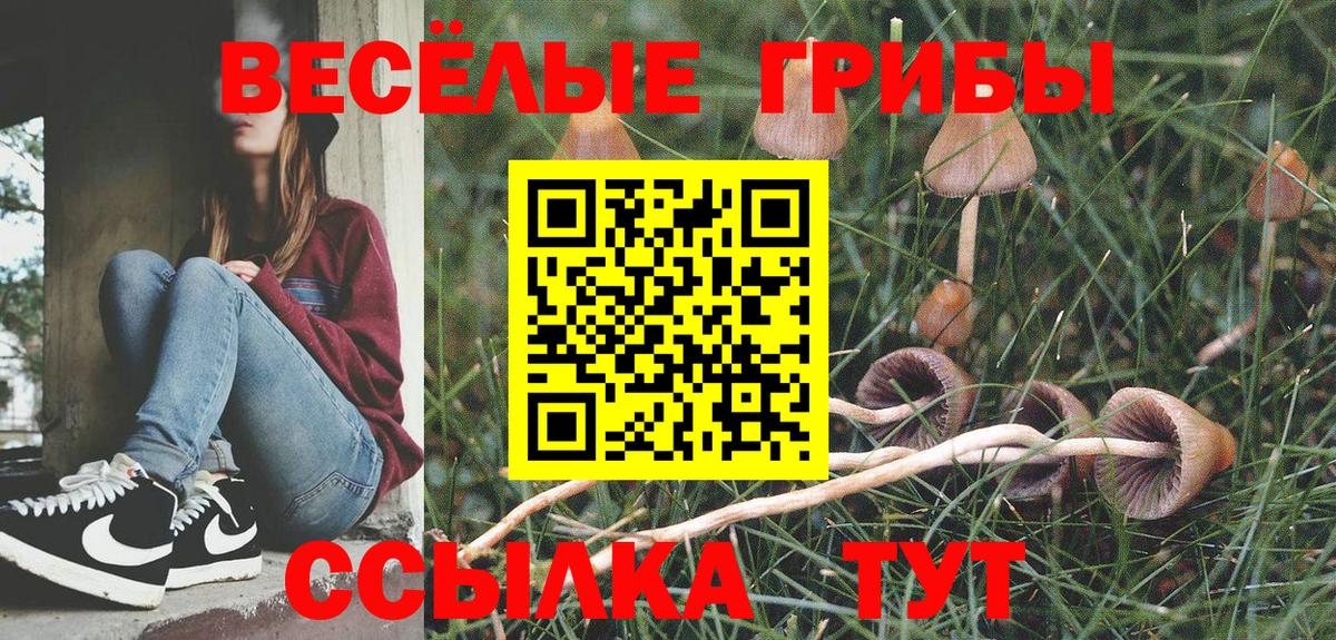 Галлюциногенные грибы Psilocybine cubensis Красноперекопск