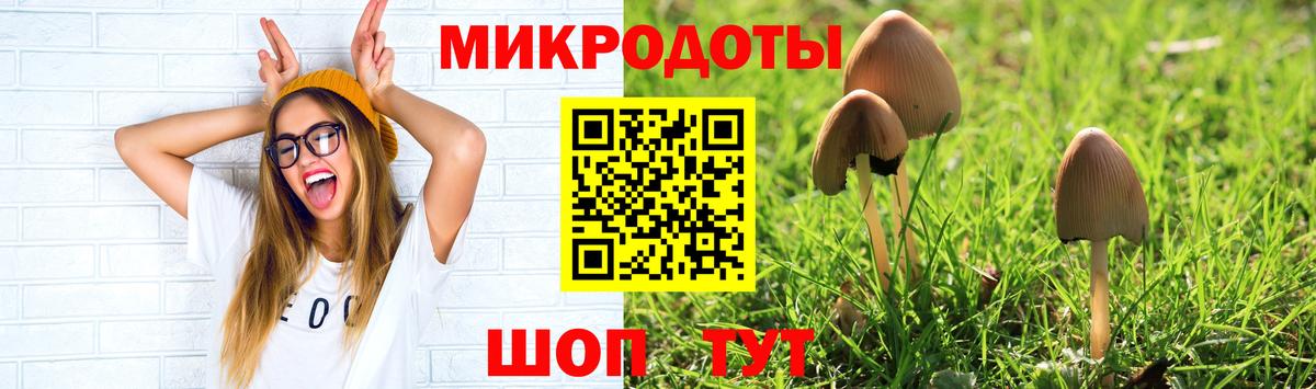 Псилоцибиновые грибы Cubensis  Красноперекопск 